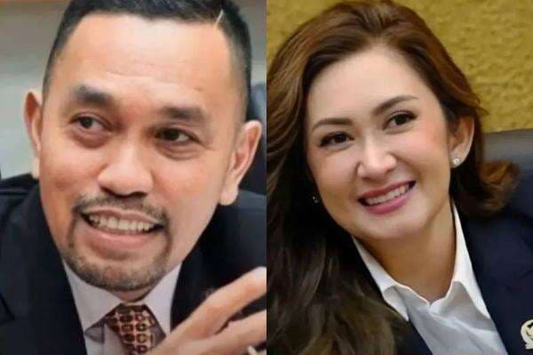 Alasan Sahroni dan Nafa Urbach Dinonaktifkan NasDem dari DPR: Cederai Perasaan Rakyat