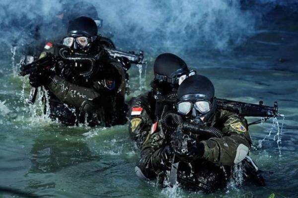 Pasukan Elite TNI di Gaza Dipimpin Jenderal Bintang 3 dan Bawahi Tiga Brigade Komposit