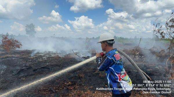 Damkar Dishut Kalteng Padamkan Kebakaran Lahan Lebih dari Satu Hektare di Kalampangan
