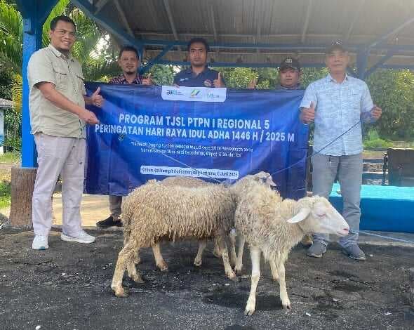 PTPN I Regional 5 Salurkan 11 Hewan Kurban di Lima Kabupaten Jatim