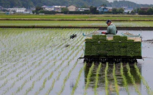 Nilai Tukar Petani pada November 2025 Turun 0,23 Persen