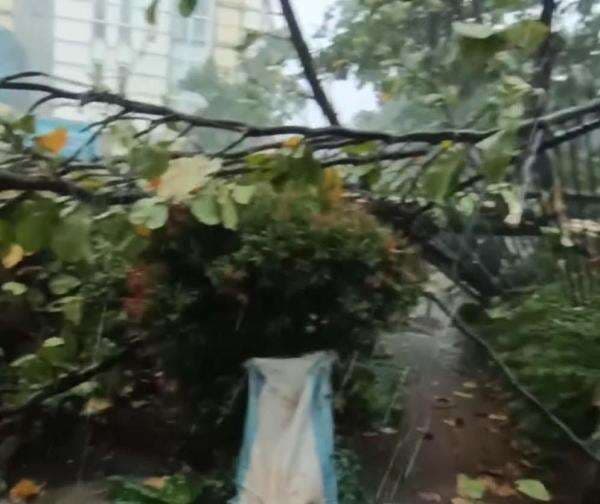 Imbas Hujan Deras, Longsor Landa 5 Kecamatan di Bogor, Puluhan Warga Terdampak