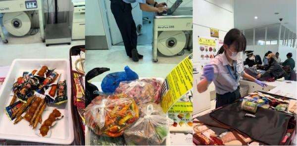 Viral, Makanan Indonesia Disita di Bandara Haneida Jepang!
