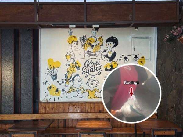 Jahat! Kafe Eyang Bungkus Kucing dalam Karung dan Dibuang Hidup-Hidup ke Tong Sampah