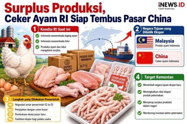 Surplus Produksi, Ceker Ayam RI Siap Diekspor ke China Surplus Produksi, Ceker Ayam RI Siap Diekspor ke China
