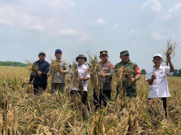 Kunjungan UKP Mardiono ke Karawang, Ajak Petani Terapkan Sistem Pertanian Ramah Lingkungan