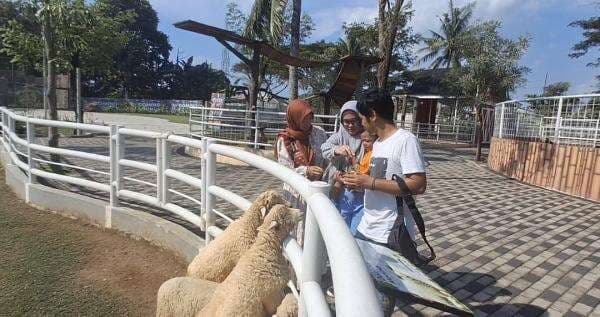 Wisata Shaun the Sheep di Jember, Rasakan Sensasi Dunia Animasi yang Jadi Nyata Wisata Shaun the Sheep di Jember, Rasakan Sensasi Dunia Animasi yang Jadi Nyata