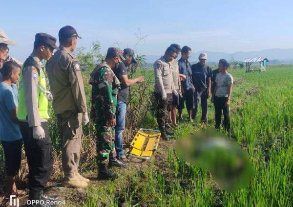 Warga Bojonegoro Tewas Tersengat Listrik Jebakan Tikus di Sawah, Korban Alami Luka Bakar
