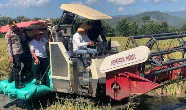 Panen Raya Serentak, PLN Ponorogo Dukung Program Ketahanan Pangan