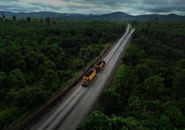 Saham Indika Energy (INDY) Melesat, Simak Katalis dan Targetnya Saham Indika Energy (INDY) Melesat, Simak Katalis dan Targetnya