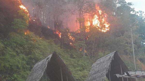 BNPB Sebut 1,5 Hektare Lahan di Aceh Barat Terbakar