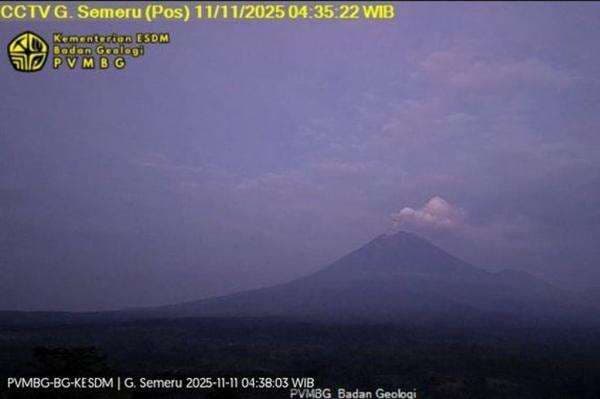 Gunung Semeru Meletus Hari Ini, Kolom Abu Capai 700 Meter