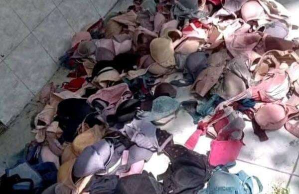 Heboh! Ratusan Bra Ditemukan Berserakan di Bekas Sekolah di Bojonegoro