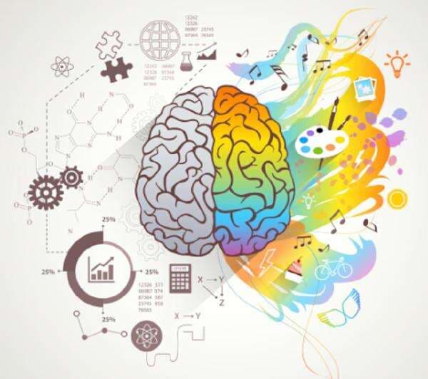 Apakah IQ Bersifat Genetik? Ini Penjelasannya