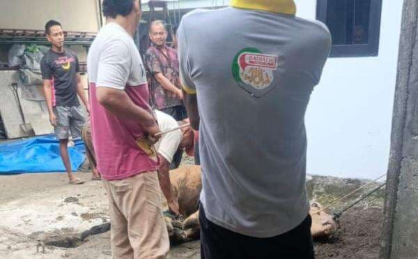 Warga Tanjung Selamat Apresiasi Bantuan Sapi Kurban dari Bupati Deli Serdang 