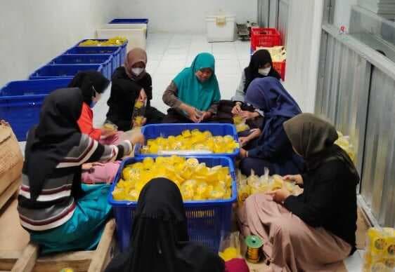 Lewat Pertapreneur Aggregator, Binaan Pertamina Rangkul Ratusan Petani