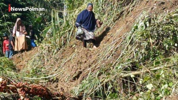 Hujan Deras Picu Longsor di Desa Palatta, Akses Jalan ke Mambu Tapua Tertutup Total