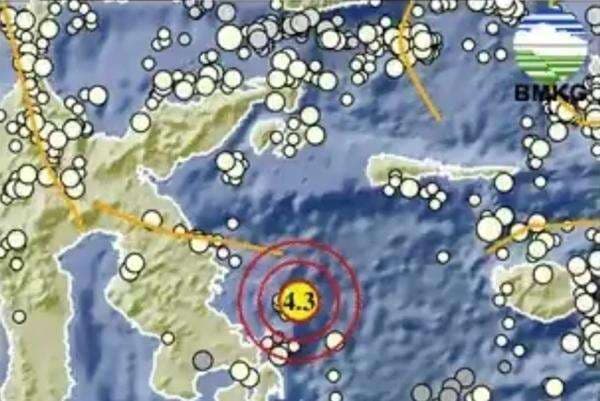 Gempa Dangkal M4,3 Guncang Konawe Sultra
