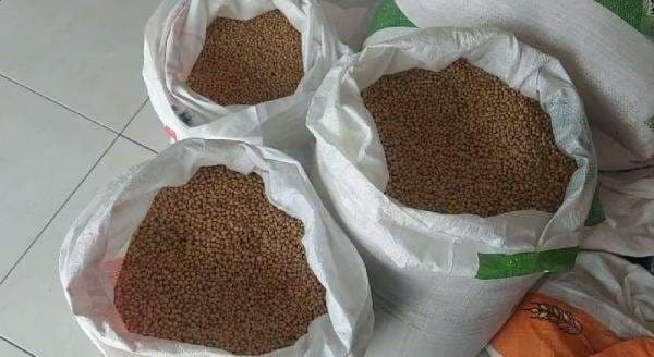 Video: Harga Kedelai Impor di Pemalang Melejit, Pengusaha Tahu Tempe Menjerit...!