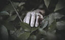 Geger! Mayat Pria Terikat Ditemukan di Pinggir Tol Jagorawi