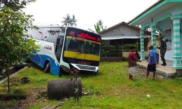 Sopir Bus Ladju Tewas Mendadak saat Mengemudi, Bus Oleng Tabrak Pohon dan Halaman Rumah Warga