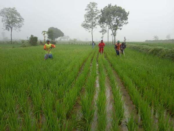 Didominasi Tambang, Struktur Ekonomi Bojonegoro dari Pertanian Hanya 11 Persen