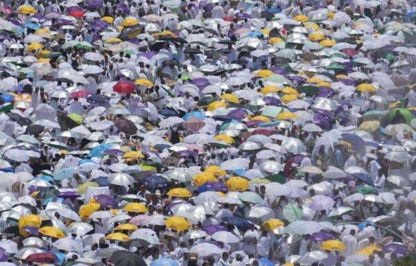 Update Haji 2025: 175 Jemaah Indonesia Wafat, Mayoritas Akibat Penyakit Ini!