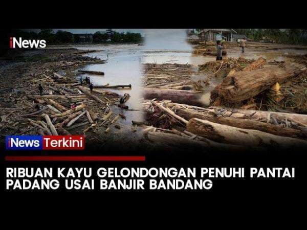 Banjir Bandang Kirim Ribuan Kayu ke Pantai Parkit Padang, Aktivitas Nelayan Terganggu