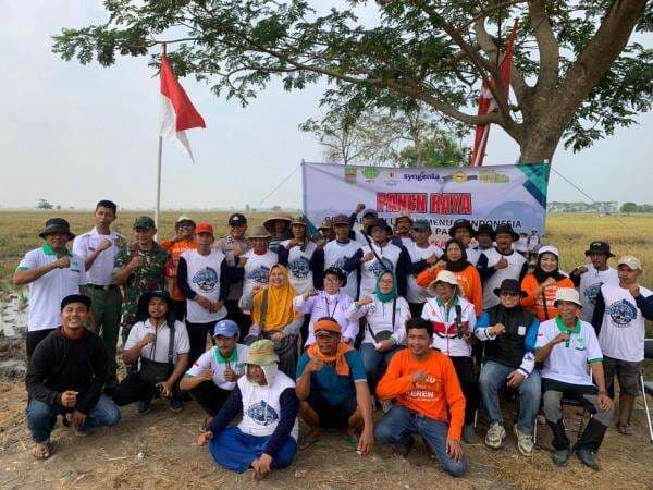 Uji Coba Tanam Padi M70D di Bekasi Hasilkan 7 Ton Gabah dari Lahan 7,5 Hektar