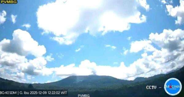 Gunung Ibu Meletus Hari Ini, Kolom Abu Capai 400 Meter di Atas Puncak
