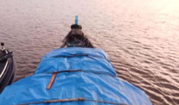 Polres Meranti Ungkap Kasus Ilegal Logging, 25 Ton Kayu Diamankan Beserta Nahkoda