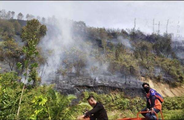 Lahan Kering Terbakar di Limapuluh Kota, Dua Hektare Dilalap Api