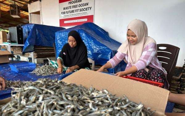 Inovasi CSR Badak LNG, Olah Limbah Ikan Jadi Produk Bernilai Ekonomi Tinggi 