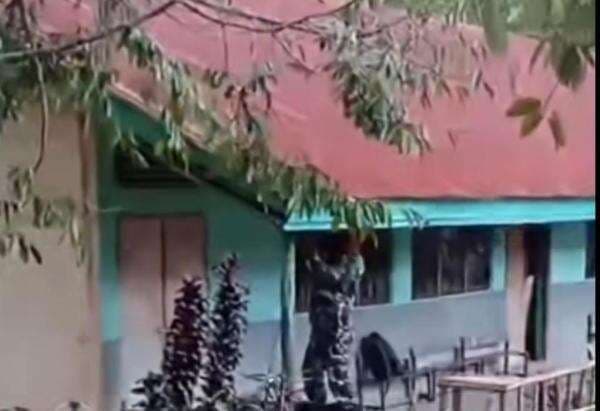 Begini Kronologi Lengkap Sekolah di NTT Disebut Digusur demi Kopdes