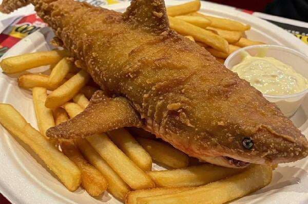 Bahaya Makan Ikan Hiu, Tinggi Merkuri Bisa Sebabkan Keracunan!