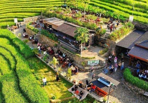 3 Tempat Wisata Kuliner di Kulonprogo yang Lagi Viral di 2025, Sajikan Rasa Tradisional dan Pemandangan Alam! 3 Tempat Wisata Kuliner di Kulonprogo yang Lagi Viral di 2025, Sajikan Rasa Tradisional dan Pemandangan Alam!
