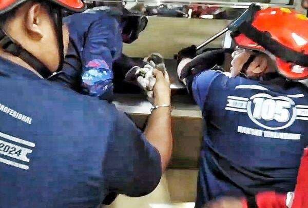 Damkar Palangka Raya Selamatkan Anak Kucing Terjepit di Gudang Bawaslu Kalteng