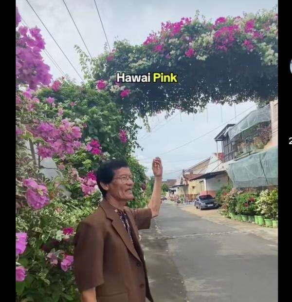 Viral Ketua RT Hias Kampung Penuh Bunga, Kini Jadi Tempat Foto-Foto Viral Ketua RT Hias Kampung Penuh Bunga, Kini Jadi Tempat Foto-Foto