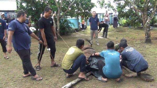 Iduladha 2025, PLN IP Kepri Kurban di Tanjungpinang dan Karimun