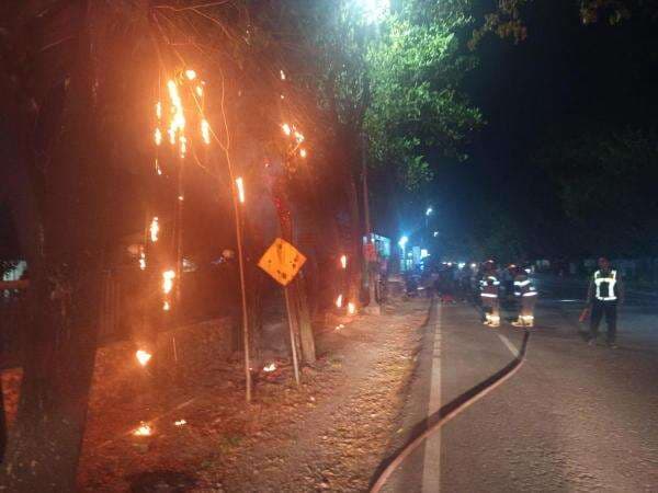 Diduga Akibat Pembakaran Sampah, Kabel Telkom Terbakar di Bojonegoro Diduga Akibat Pembakaran Sampah, Kabel Telkom Terbakar di Bojonegoro