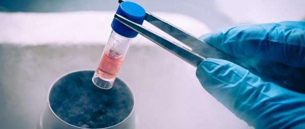 Berapa Biaya Egg Freezing atau Pembekuan Sel Telur di Indonesia?