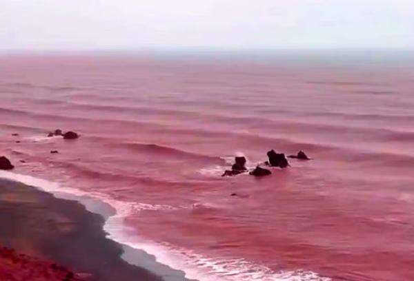 Pantai Iran Berubah Jadi Merah Darah Setelah Diguyur Hujan Deras