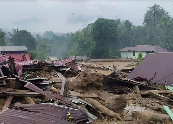 Warga Diperbolehkan Pakai Kayu Gelondongan Bencana Sumatera untuk Bangun Rumah