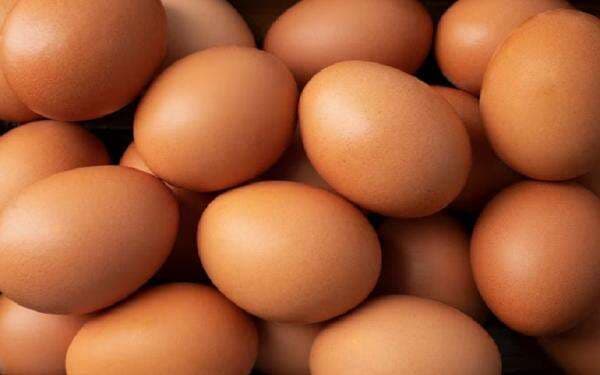 Surplus, Stok Telur Ayam Nasional Aman hingga Lebaran 2026