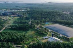 BWPT Tawarkan Obligasi Rp210 Miliar untuk Refinancing dan Modal Kerja