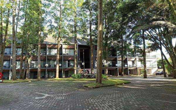 Tempat Outbound di Bogor, Pacu Adrenalin dengan Aktivitas Seru!