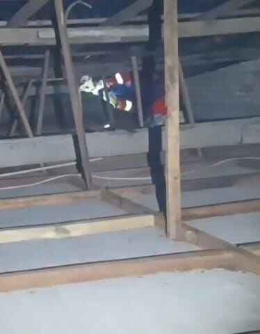 Petugas Damkar Palangkaraya evakuasi Tawon Vespa yang telah menyengat Pemilik Warung