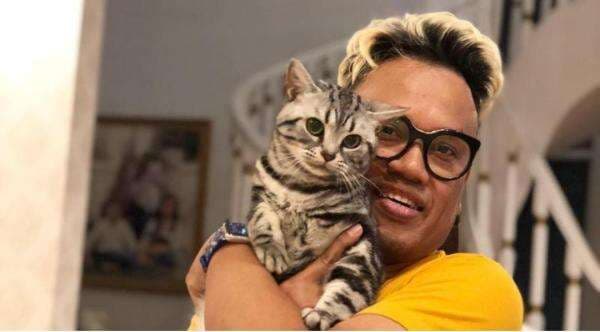 Bikin Melongo, Segini Harga Kucing Uya Kuya yang Raib Dijarah Saat Demo