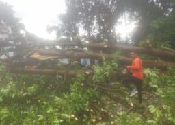 Puluhan Rumah di Jatim Rusak Diterjang Angin Kencang