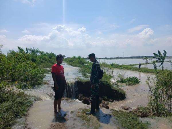 Update Banjir! Pemerintah Turunkan Satgas, BBWS Kerahkan Alat Berat